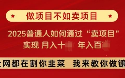 必看，做项目不如卖项目，2025普通人如何通过“卖项目”实现月入十个，年入百个